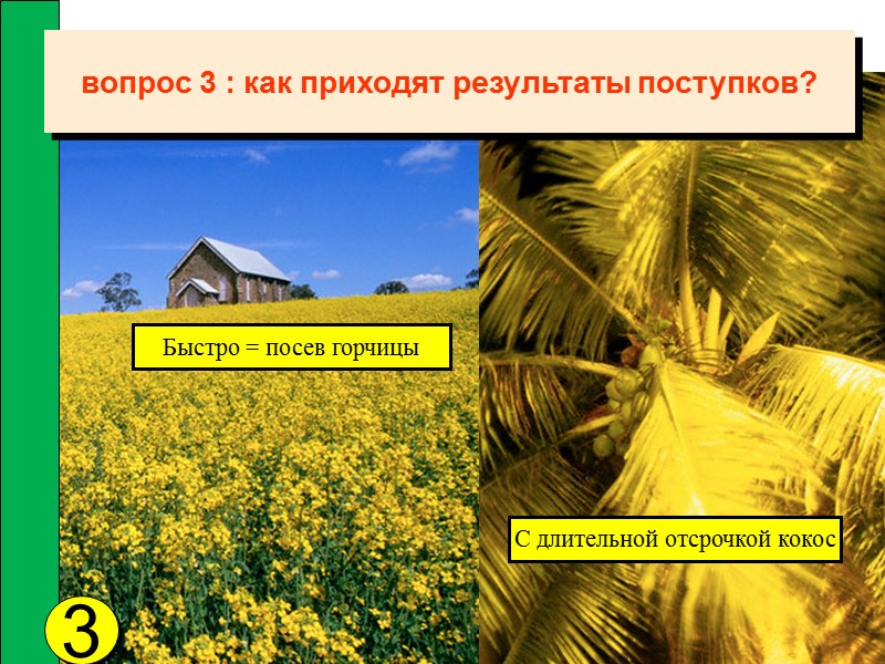 3 Быстро = посев горчицы С длительной отсрочкой кокос вопрос 3 : как приходят
